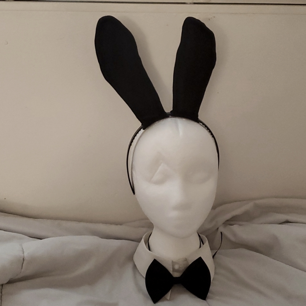 Bunny suit